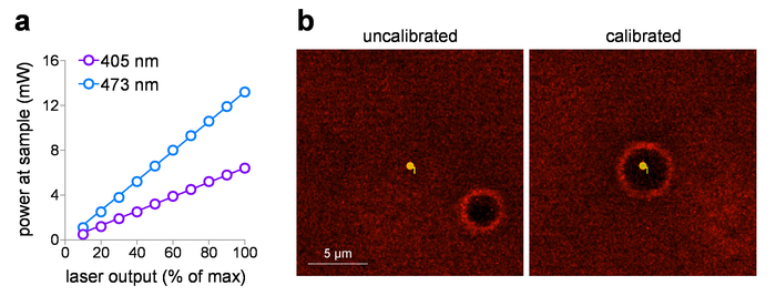 figure-results-1 Graph of laser power versus output; calibration effect in microscopy image at 405 nm and 473 nm.