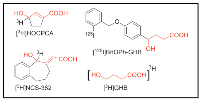 Chemical structure diagram of radiolabeled compounds including [³H]HOCPCA, [¹²⁵I]BnOPh-GHB.
