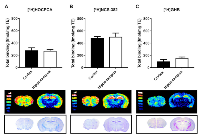 figure-results-5 Tracers binding comparison chart; cortex vs. hippocampus. Includes brain imaging results.