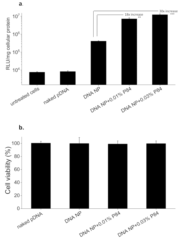 figure-results-6 Cell transfection efficiency and viability bar charts showing DNA NP impact on protein levels and cell survival.