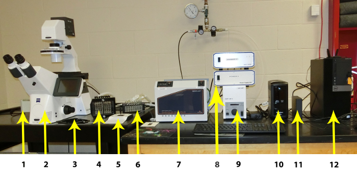 figure-introduction-1 Microscopy and spectroscopy setup for DNA analysis; includes computer interface and optical devices.