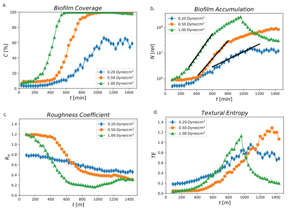Biofilm growth analysis; charts on coverage, accumulation, roughness, entropy vs. time.