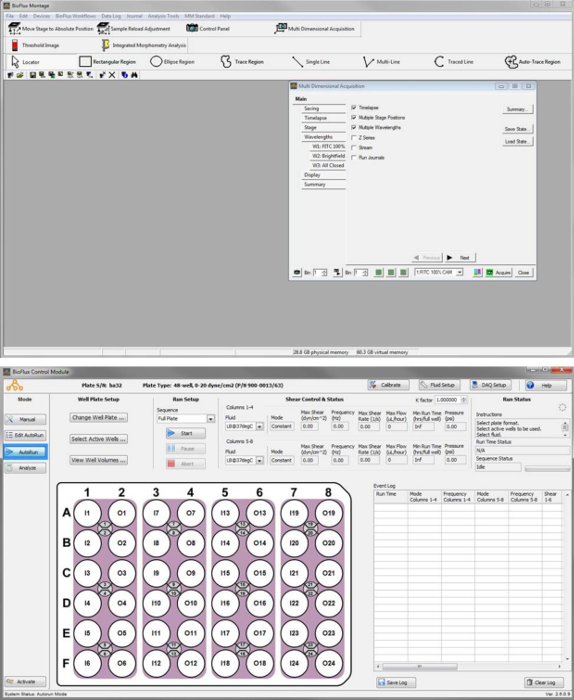 Software interface for multi-dimensional acquisition using a 96-well plate for sample analysis.