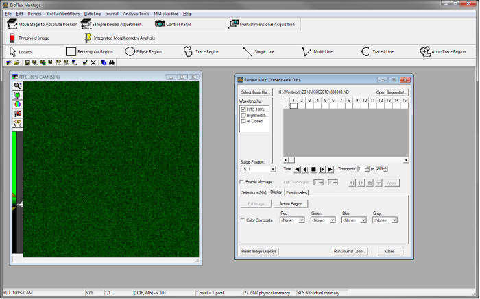Microscopy analysis software interface for multidimensional data acquisition and imaging processing.