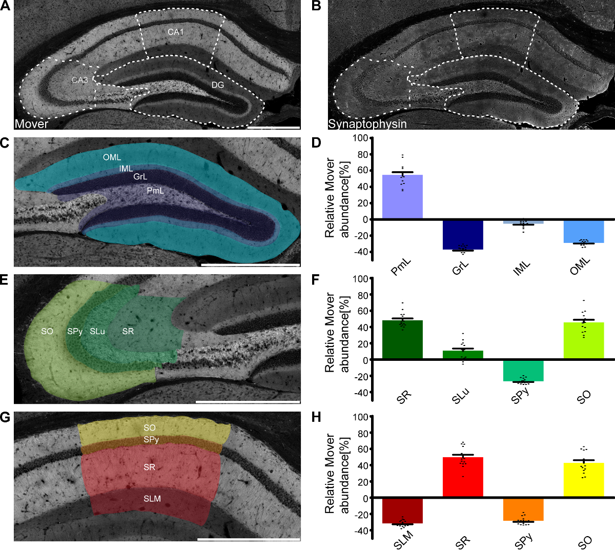 Quantifying the Heterogeneous Distribution of a Synaptic Protein in the ...