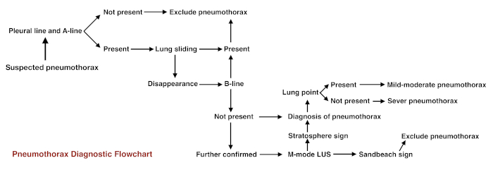 Flussdiagramm der Pneumothorax-Diagnose mit Lungenultraschall, Pleuralinie, A-Linie und Entscheidungswegen.