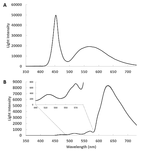 Transient absorption spectra, graph showing light intensity vs wavelength, optical analysis results.