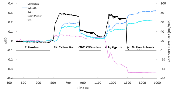 Graph of myoglobin, Cyt a605, Cyt c absorption changes against coronary flow rate for ischemia study.