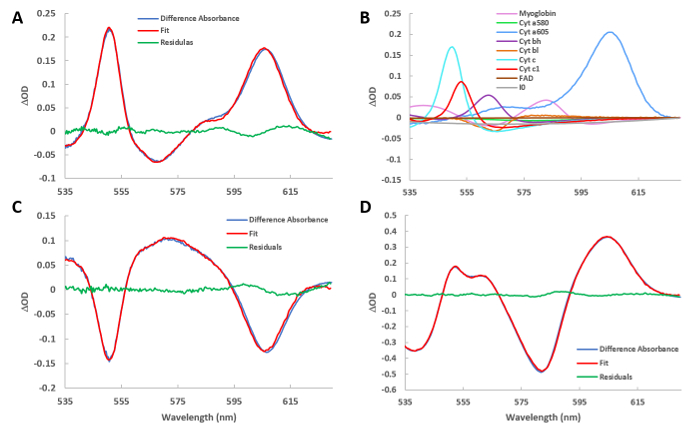 Transient absorption spectra, ΔOD versus wavelength, spectral fitting graph, experimental data analysis.