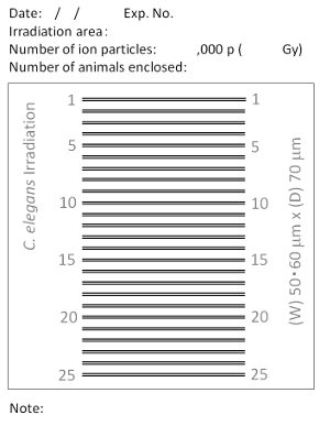 figure-results-7 C. elegans irradiation diagram, ion particle experiment, dosage grid, scientific research setup.