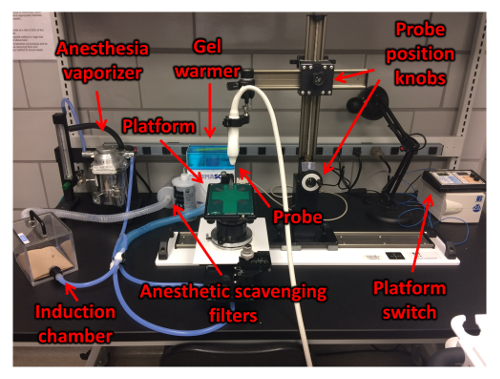 Anesthetic delivery system diagram; setup includes vaporizer, probe, gel warmer, induction chamber.