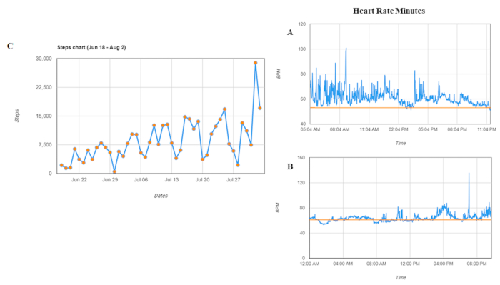 Steps and heart rate data charts; time series analysis; physical activity vs. heart rate correlation.
