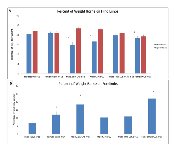figure-results-2 柱状图;后肢/前肢承重百分比;实验结果;生物力学研究。