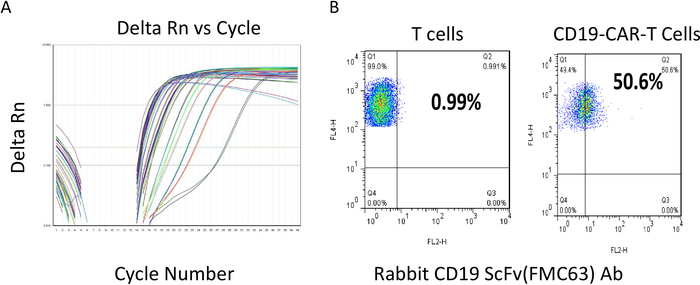 qPCR amplification graphs and flow cytometry plots for T cells and CD19-CAR-T cells analysis.