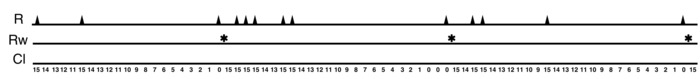 Static equilibrium diagram, analyzing forces and moments, shows balance along linear scale.