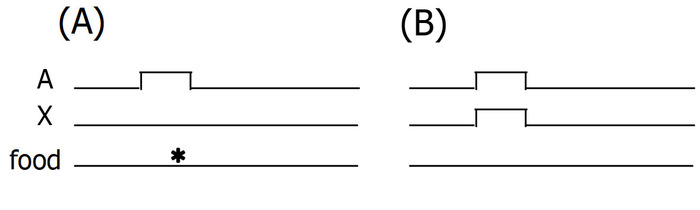 Operant conditioning diagrams A shows stimulus A, X and food response flow. B shows variation A-X.