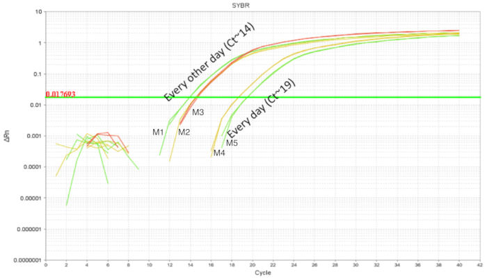 figure-results-3 SYBR qPCR amplification plot; Ct values for different cycles; gene expression analysis results.