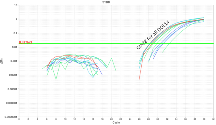 figure-results-5 SYBR qPCR results, ΔRn vs. cycle; DNA quantification; amplification curve graph; CT>28 threshold.