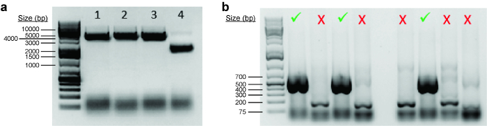 figure-results-1 figure-results-1