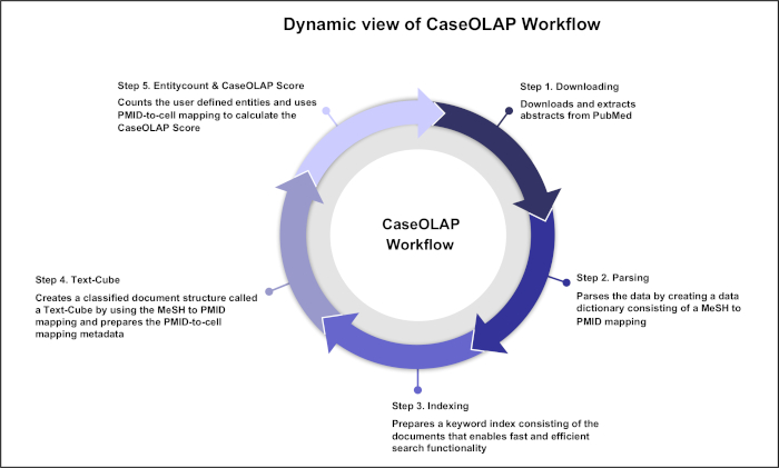 Dynamic CaseOLAP workflow diagram; data extraction, parsing, indexing, text-cube creation, scoring.
