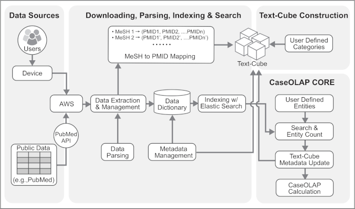 Data processing workflow, PubMed API, metadata management, diagram, indexing, case analysis, text-cube.