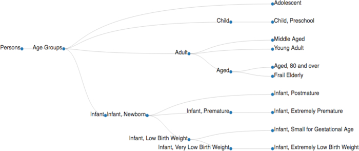 Age groups diagram; categorization from infant to elderly; highlights developmental stages.