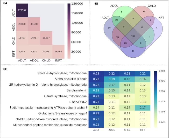 Proteomics data analysis; heatmap, Venn diagram; protein expression in age groups; comparative study.