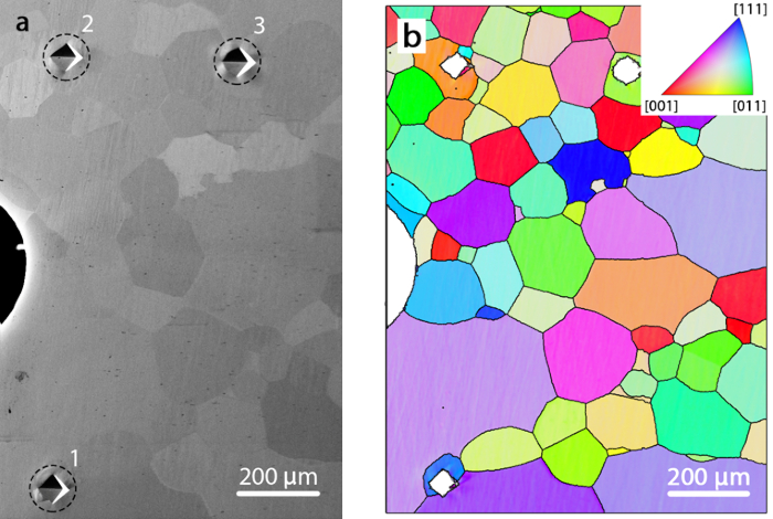 Microstructure characterization; electron backscatter diffraction map; crystal orientation analysis.