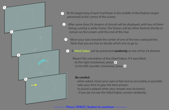 figure-results-1 Eye-tracking experiment diagram showing Gabor orientation detection process, including fixation target.
