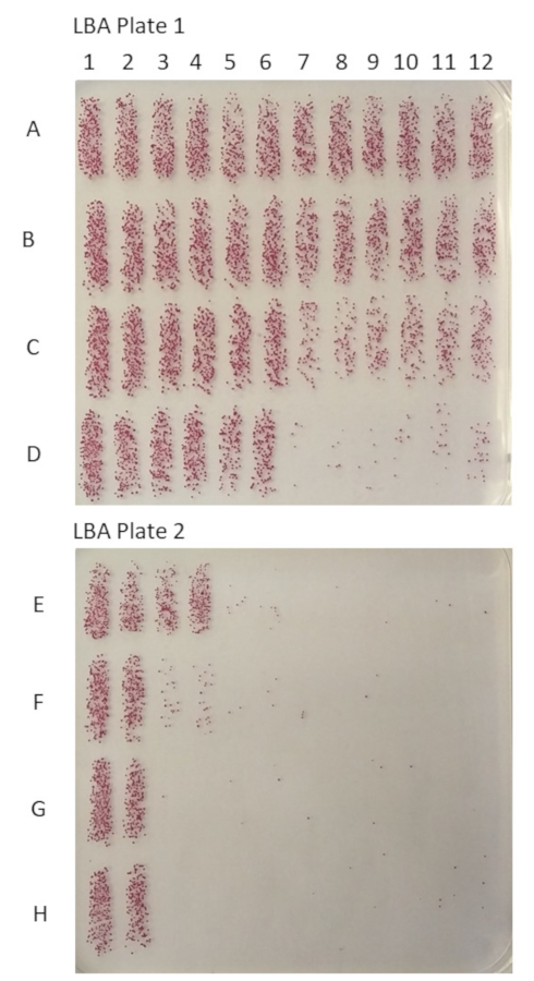 Colony counting on LBA plates, bacterial culture analysis, grid arrangement, experimental results.