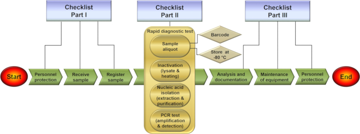 PCR diagnostic workflow diagram; process includes sample preparation, nucleic acid isolation, testing.