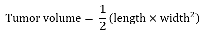 Tumor volume formula, V=1/2(length×width²), mathematical equation for tumor size estimation.
