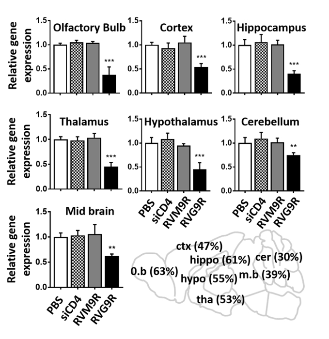 figure-results-4 figure-results-4