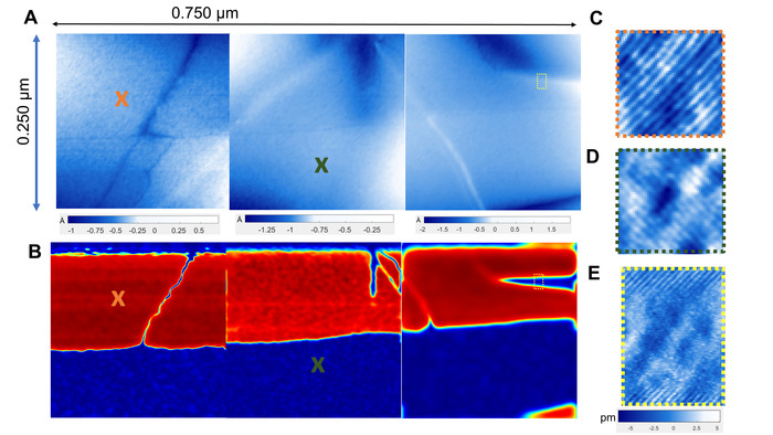 figure-results-5 Atomic force microscopy diagram, surface analysis, topography, and mechanical properties mapping.