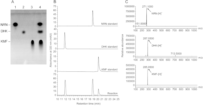 figure-results-3 NRN、DHK、KMF 标准品的色谱结果;保留时间图谱及质谱分析。