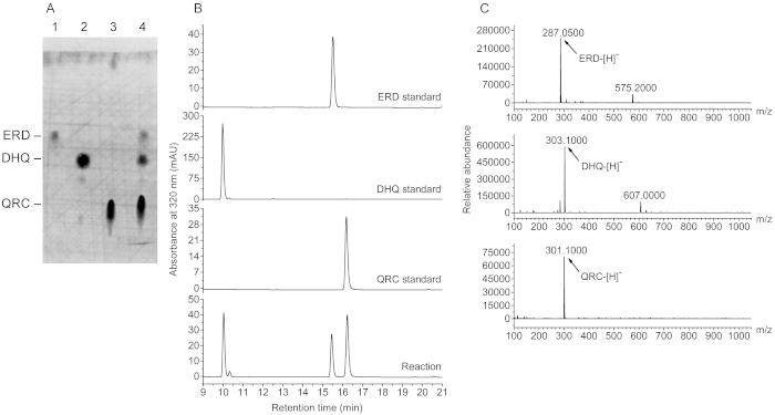 figure-results-4 色谱图:用于ERD、DHQ、QRC分析的薄层色谱(TLC)、高效液相色谱(HPLC)色谱图及质谱图。