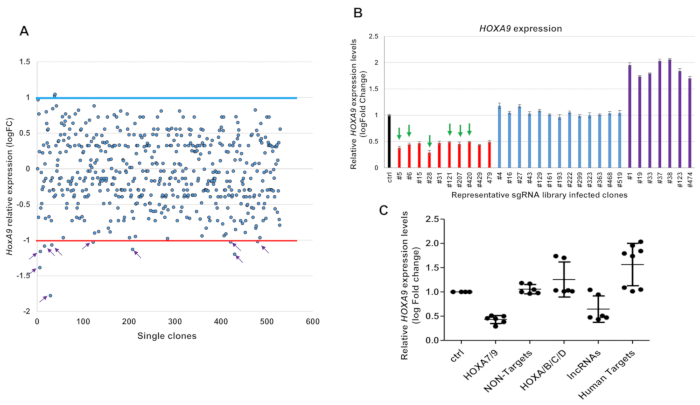 figure-results-4 HOXA9 expression analysis; charts showing sgRNA library impact; gene expression level comparison.
