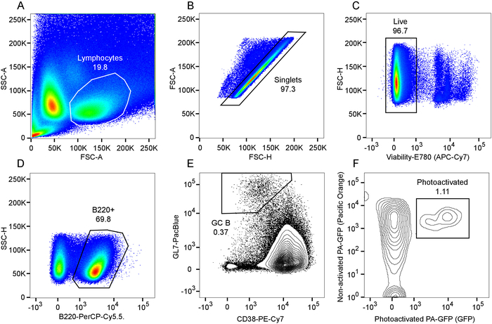 Flow cytometry data; dot plots for lymphocyte gating, singlets, and viability; fluorescence analysis.