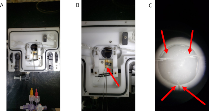 figure-results-1 Microfluidic chip setup illustrating liquid flow channels and cell encapsulation process in three stages.
