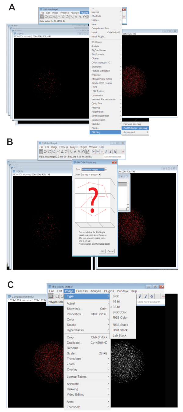 figure-protocol-2 figure-protocol-2