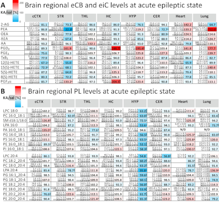 Regional brain lipid levels comparison chart in acute epilepsy; data analysis across tissues.