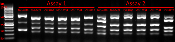 figure-results-1