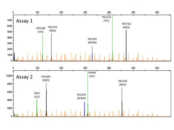 figure-results-2