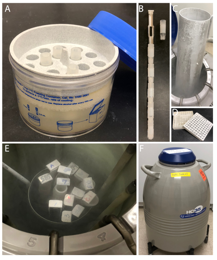 Cryopreservation setup; includes freezing container, storage tank, sample racks, liquid nitrogen.