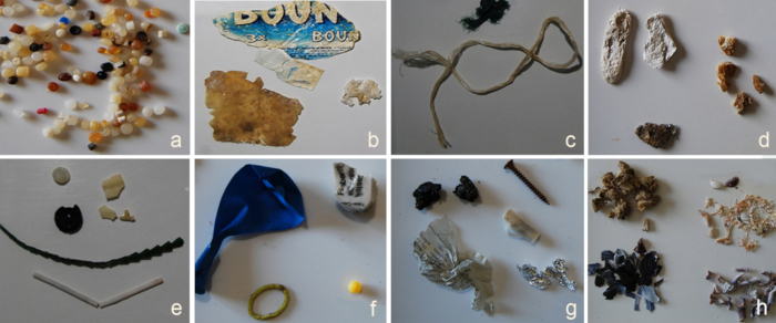 Microplastic types diagram; environmental study on pollution debris variety and classification.
