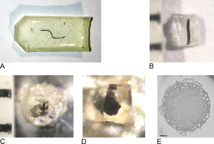 Microstructure and specimen analysis; microscopy images A-E showing various sample preparations and details.