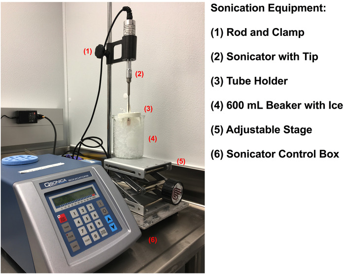 Sonication setup with rod, sonicator, ice-filled beaker, adjustable stage, control box.