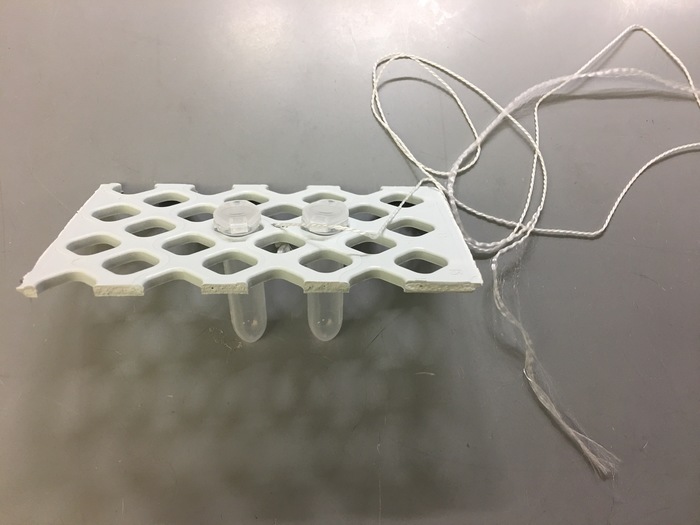Static equilibrium, pulley setup for force analysis, including test tubes and ropes.