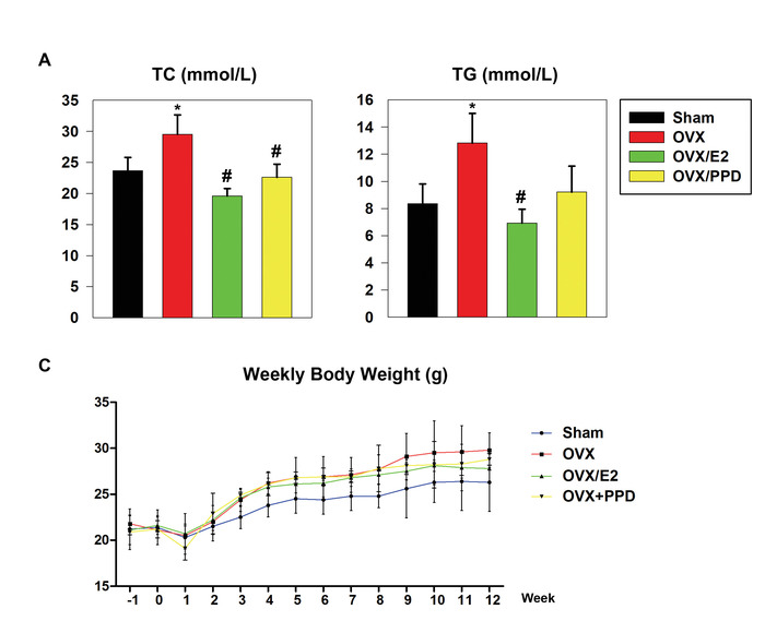 Bar and line graphs comparing effects of treatments on TC, TG levels and body weight changes.