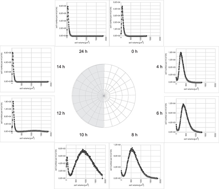 figure-results-1 figure-results-1